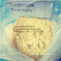 Male Muscle Promote Steroids Hormone CAS 10161-33-8 Trenbolone Enanthate